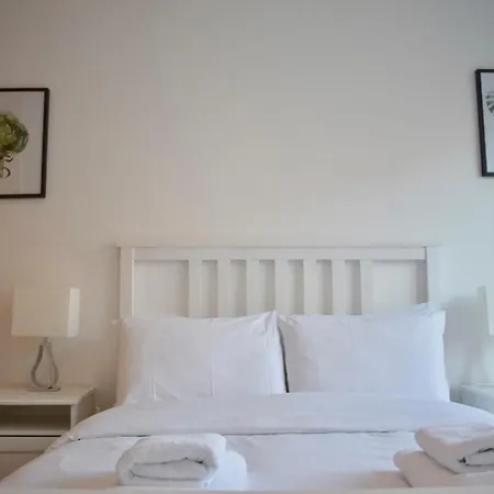Bright 2 Bed 1 Bath Apt With Rooftop Terrace 都柏林